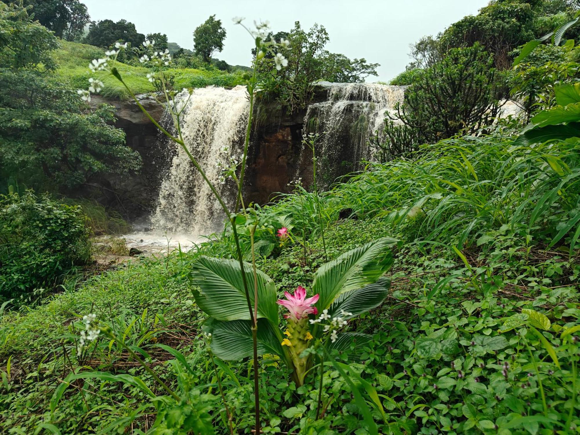 浦那Shinde'S Tikona Valley Farm别墅 外观 照片